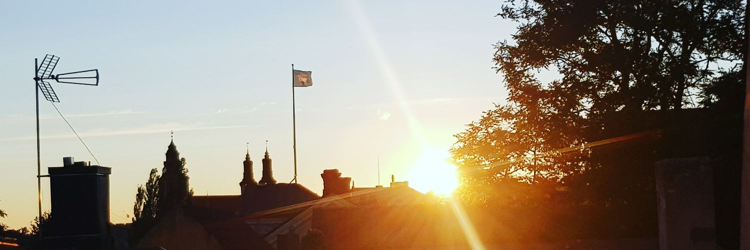 Robin Tannarp banner