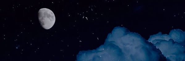 silumannutrijel's profile banner image