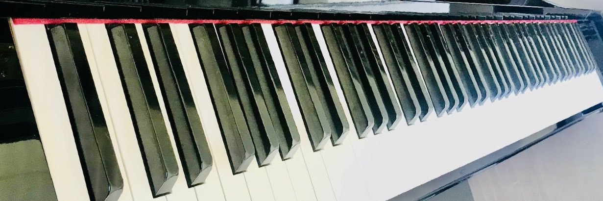 LA🇨🇦🦋's banner