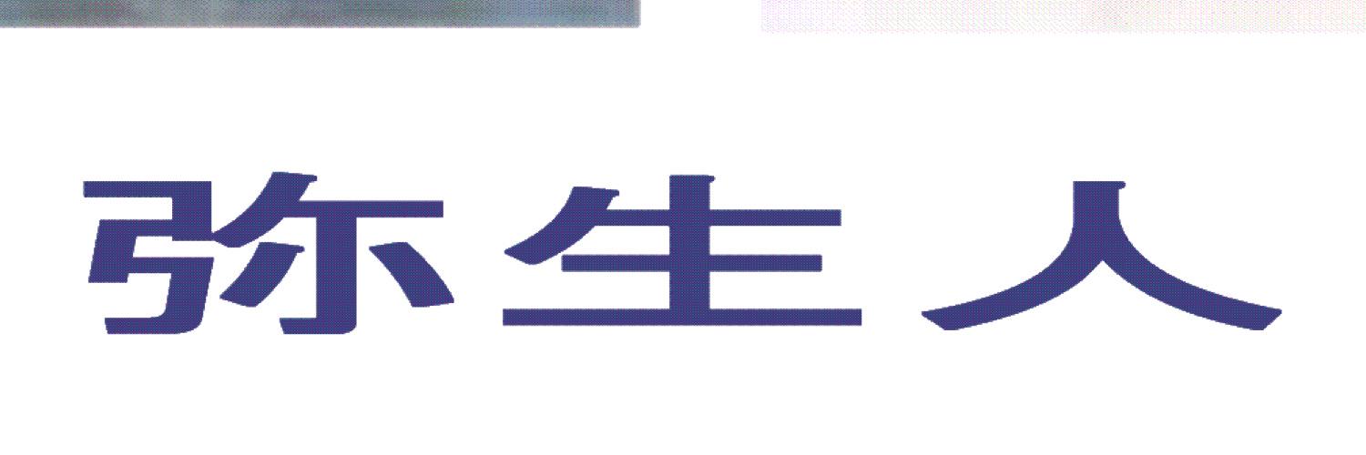 bombP banner
