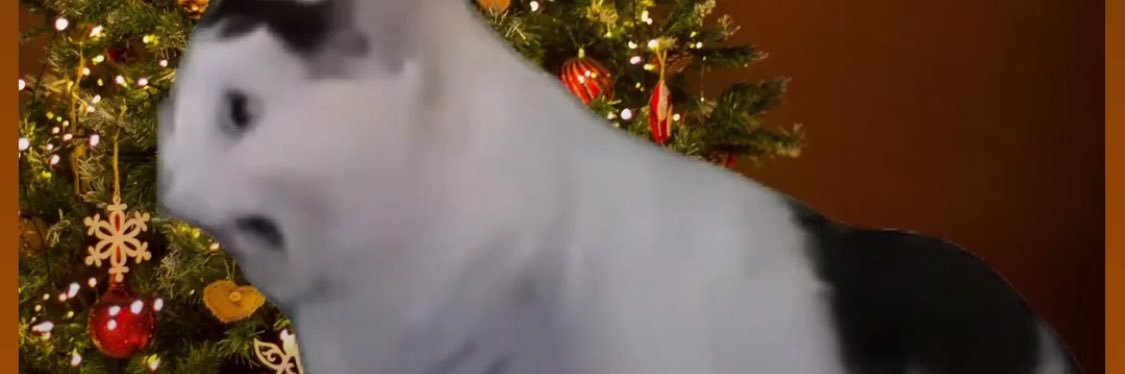 Shayne Luckett banner