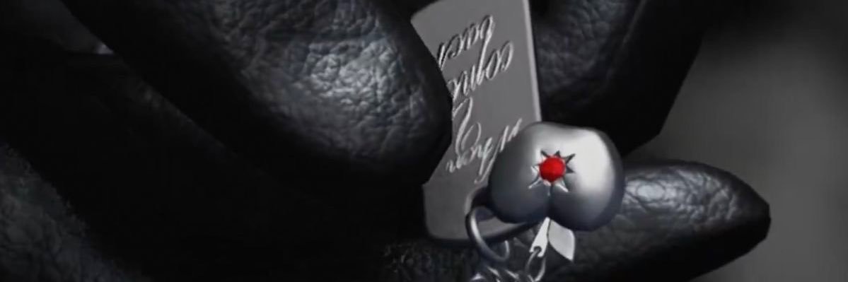 evil ray's banner