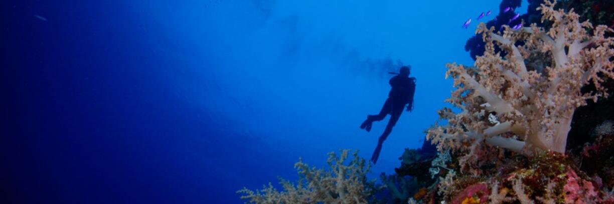 Ocean Elements MY banner