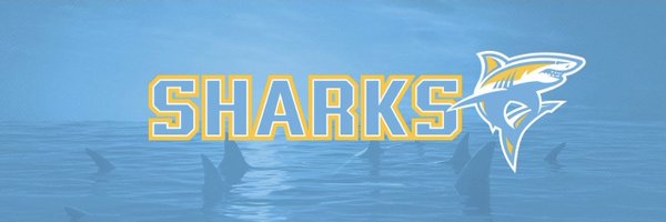LIUCoachStrick Profile Banner