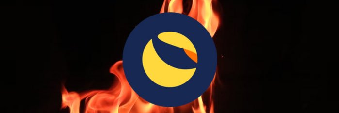TheLUNCWolf's profile banner image