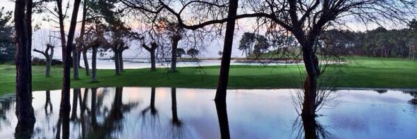 bmatamayrand Profile Banner