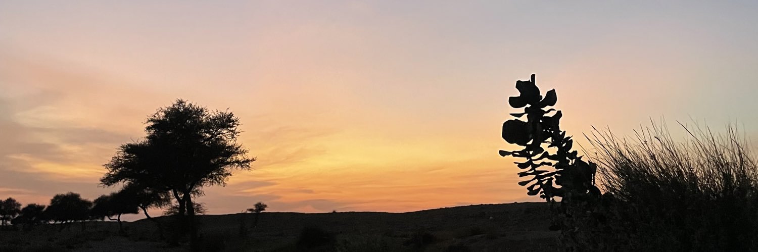 فيصل banner