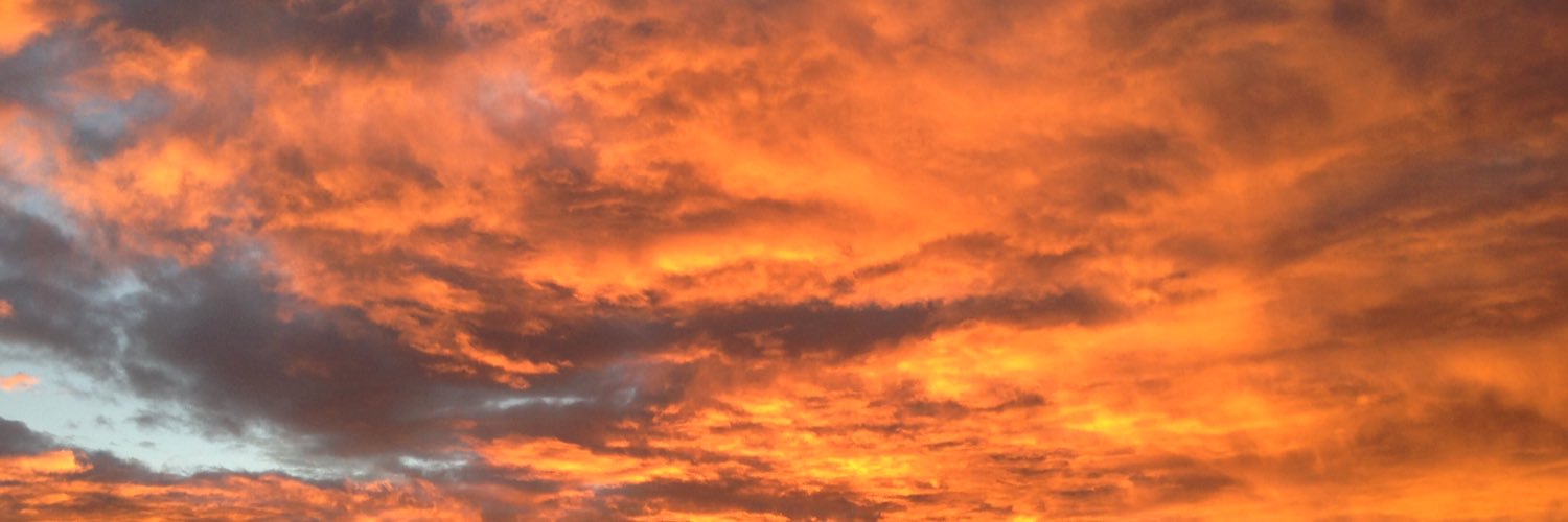 slealcat's profile banner image