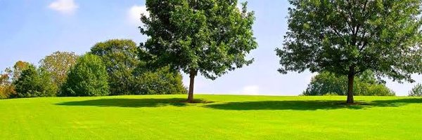 Iamgreenfield Profile Banner