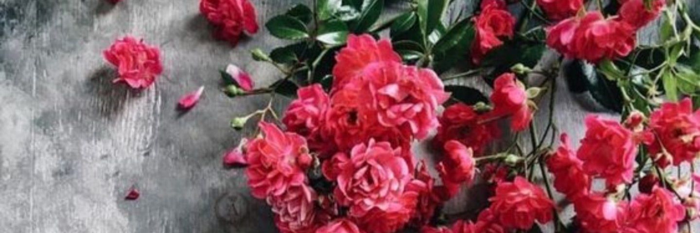 Mahmoud201148's profile banner image