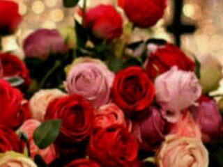 _al3jmiiah's profile banner image