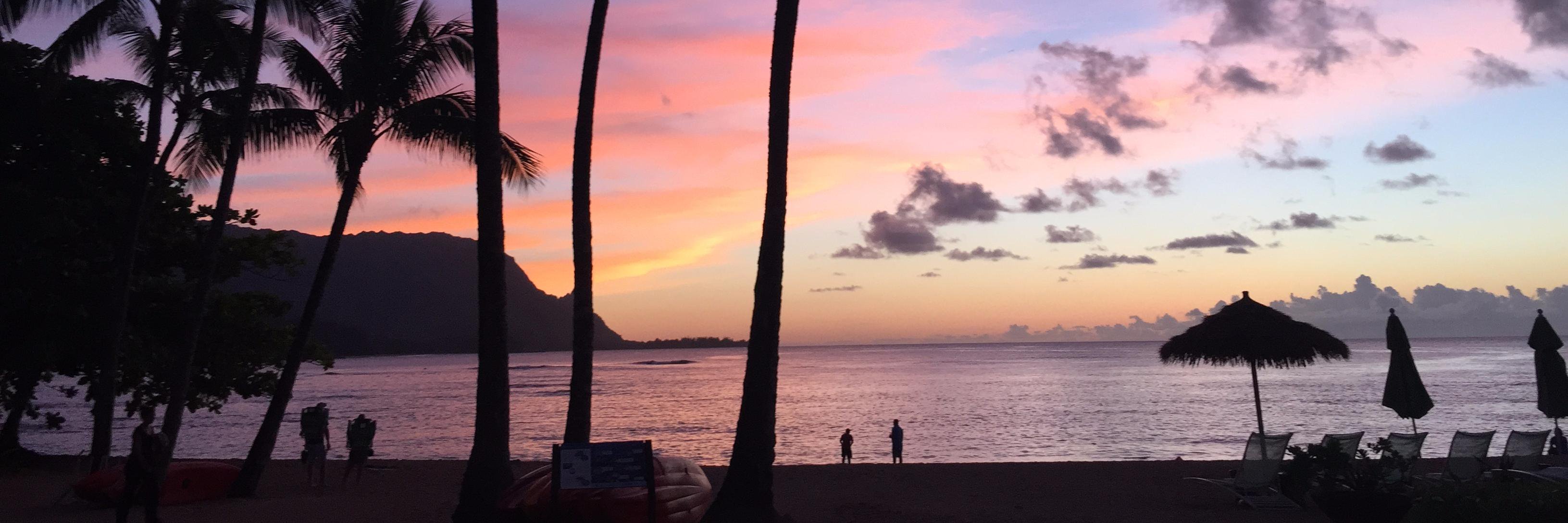 Michael J Bishop banner