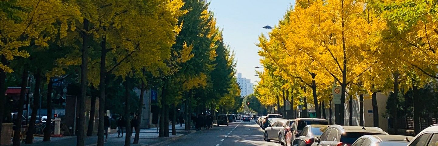 han_dyan's profile banner image