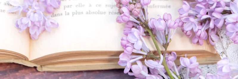 もこもこ banner