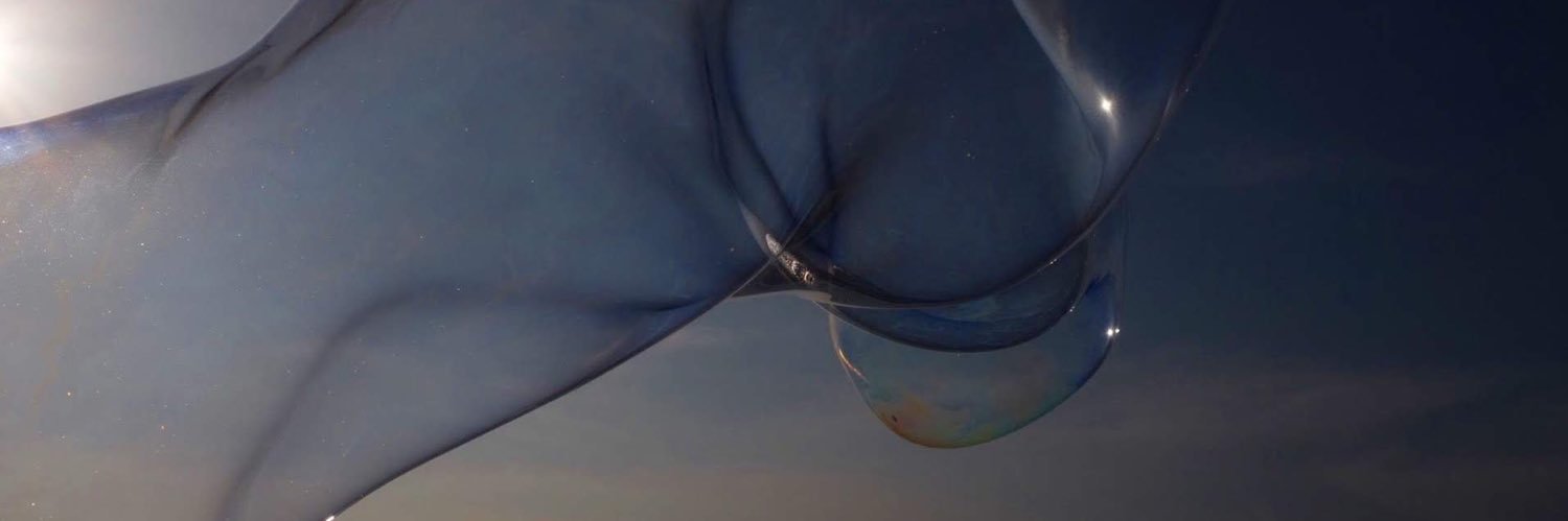 patalow's profile banner image