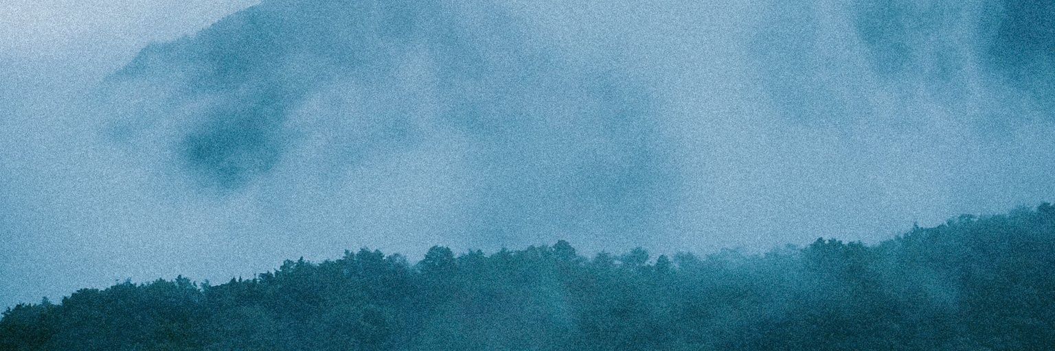 blui banner