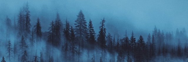 flawedpain's profile banner image