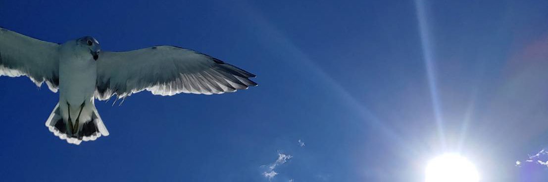 まーとんTheびよんど banner