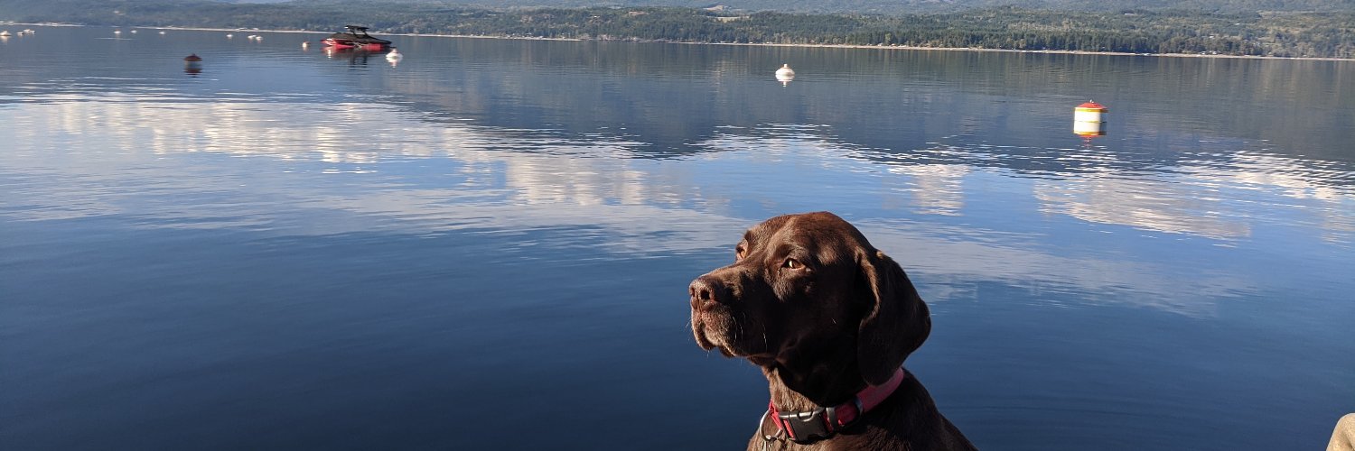 QuietLoon's profile banner image