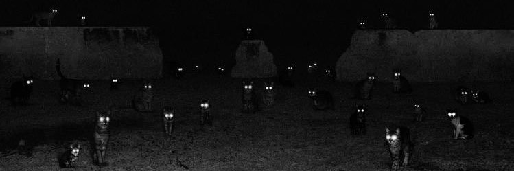 le_wimo's profile banner image