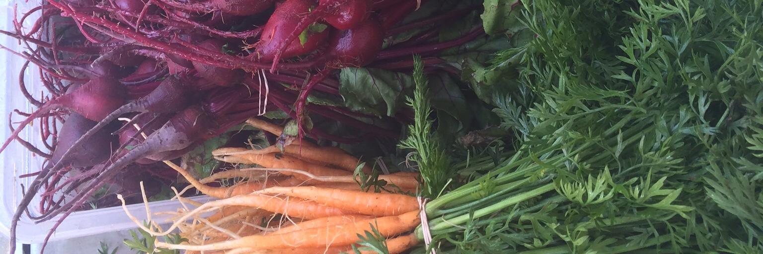 Spring Creek Garden banner