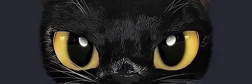 melons.xii 💎 banner