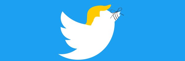 lcensur Profile Banner