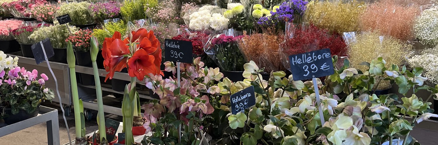 僻地ちゃん🫧 banner