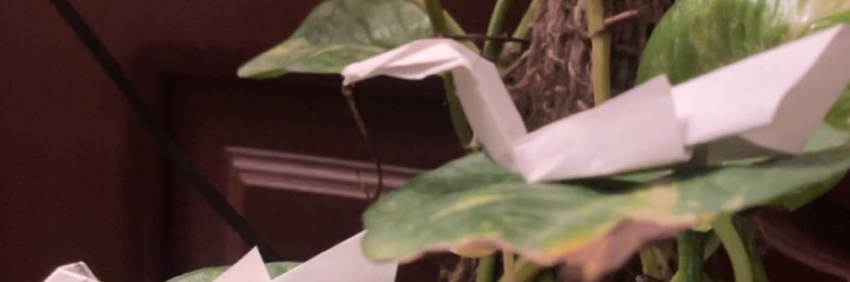 1scheiBe3's profile banner image