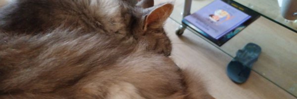 ElsDijkstra65 Profile Banner