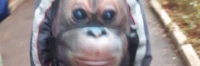 Pessimetrie's profile banner image