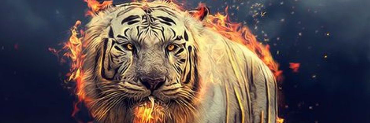 kadesdower's profile banner image