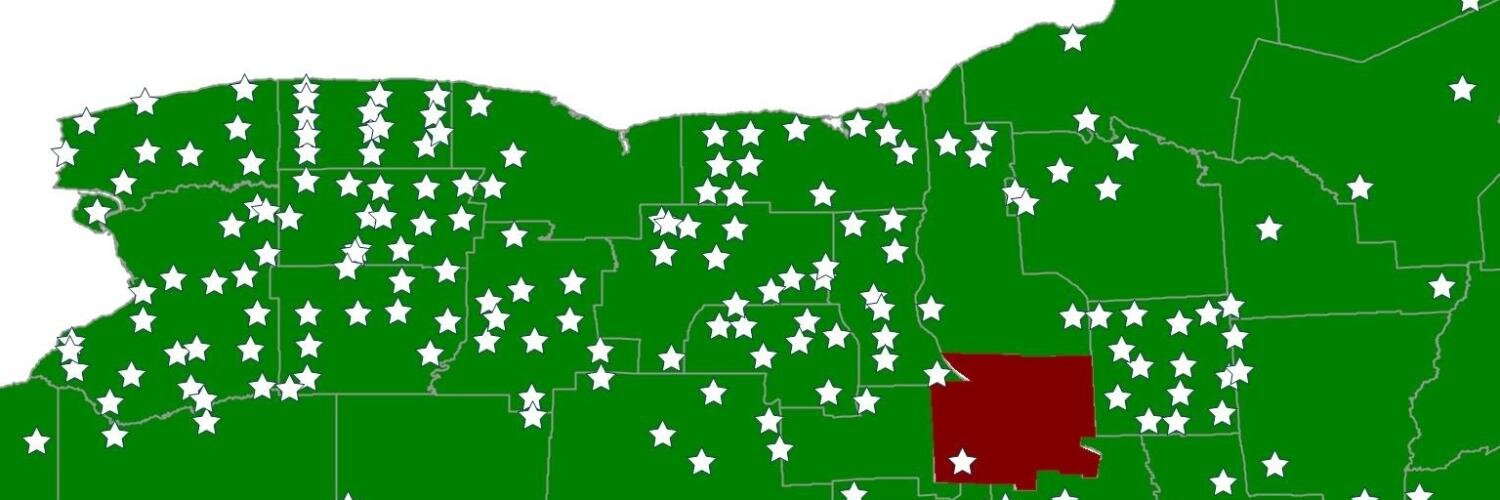 NY SAFE Resolutions banner