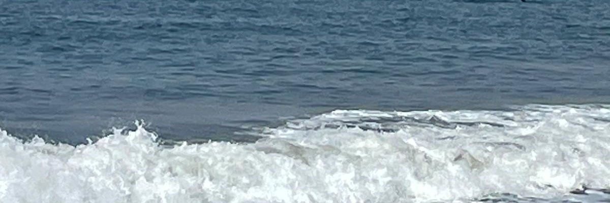 drGBW55's profile banner image