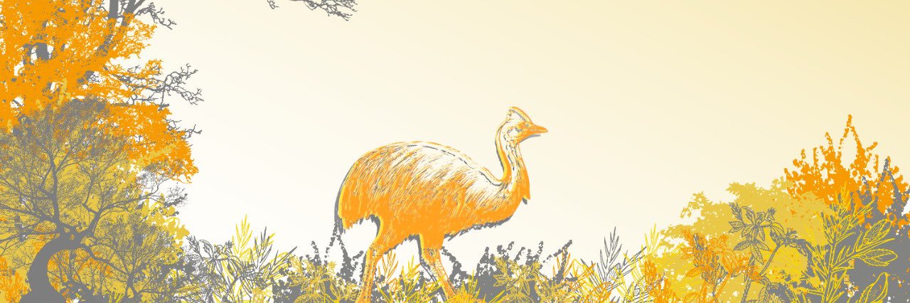 KASUARI DAHAYU banner