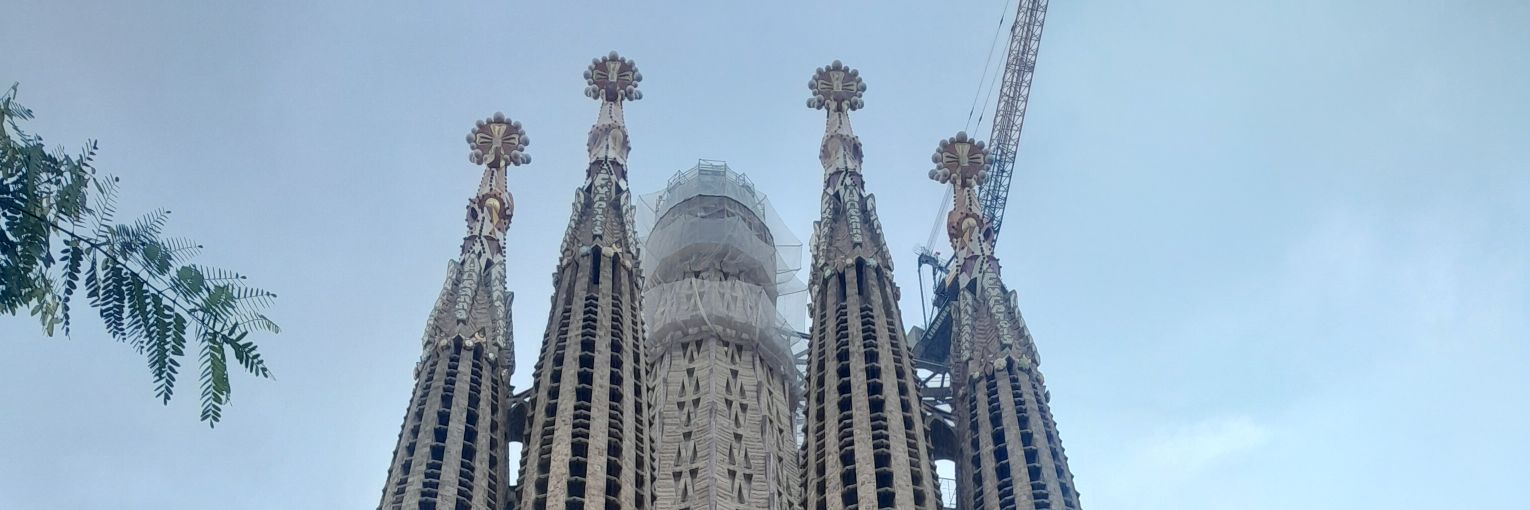 Coach Investments banner