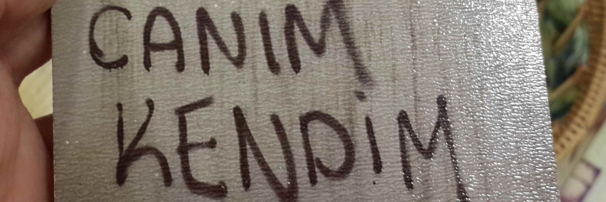 SnSayiin's profile banner image
