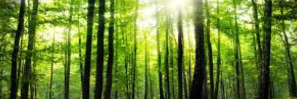 BSmithBenS Profile Banner