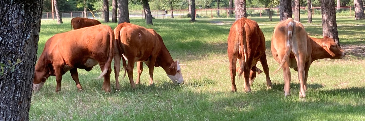 Pat Patterson banner