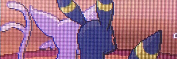 _latorr333 Profile Banner