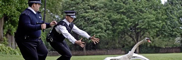 sc_survey Profile Banner