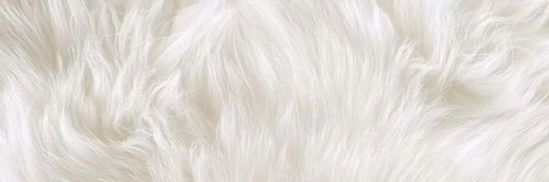 🦋 banner