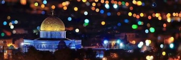 d_alkafy Profile Banner