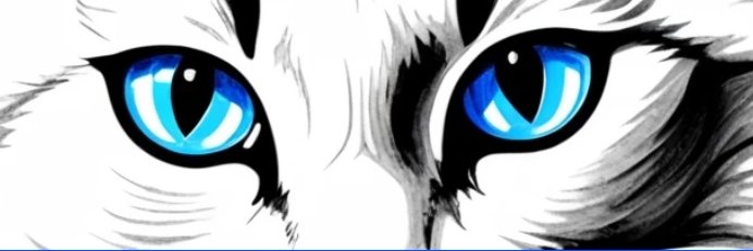 darkc2s's profile banner image