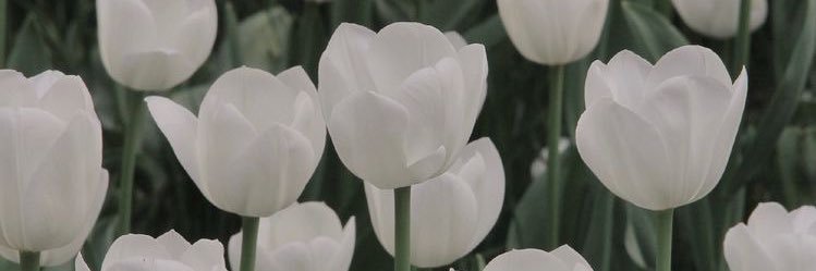 พิเฮนแอคหลุม #เจนไอดิวะ banner