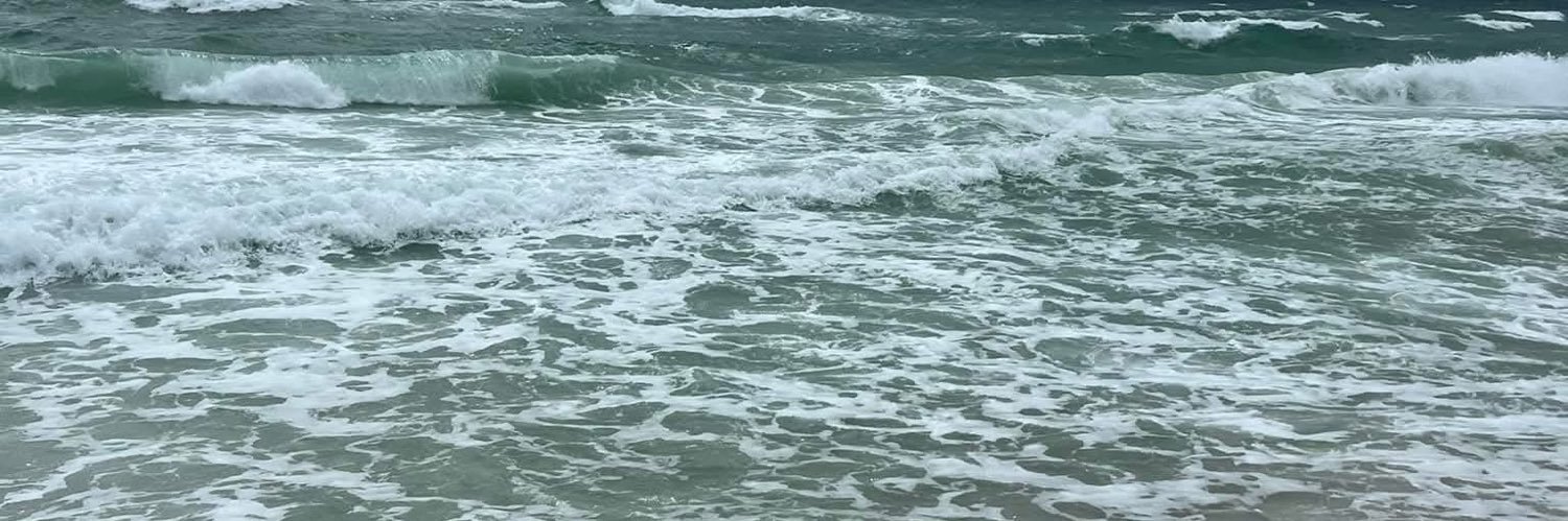 Deb4902's profile banner image