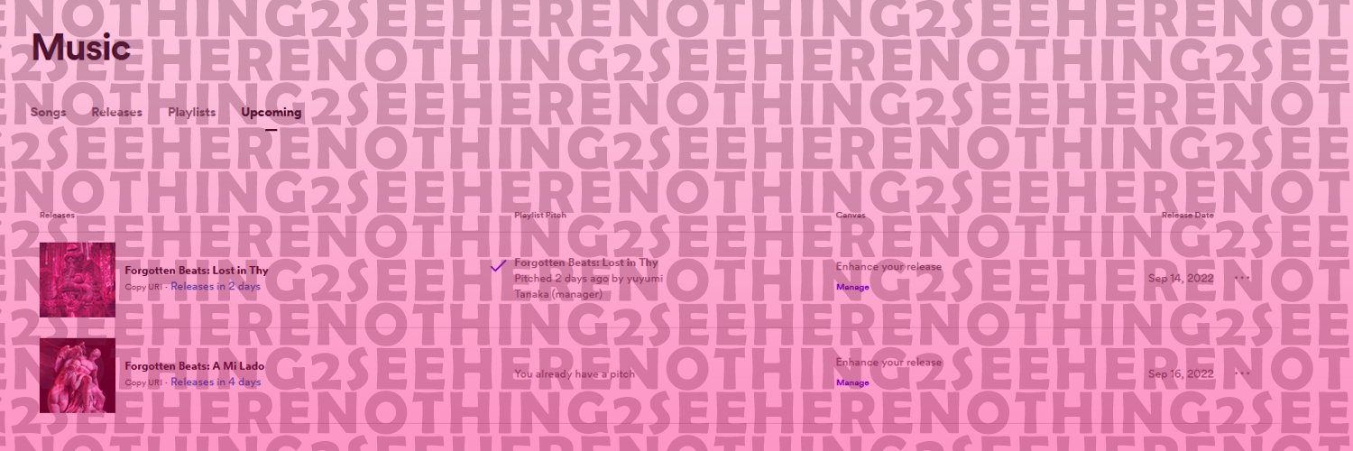 NOTHING2SEE_LIE's profile banner image