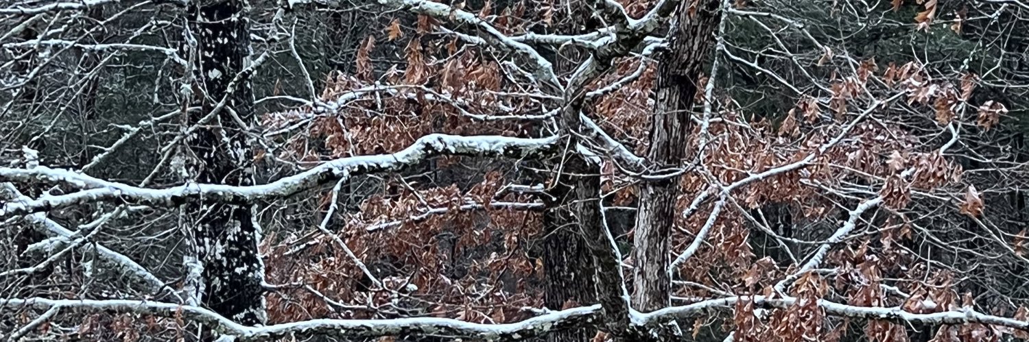 srqmarketing's profile banner image