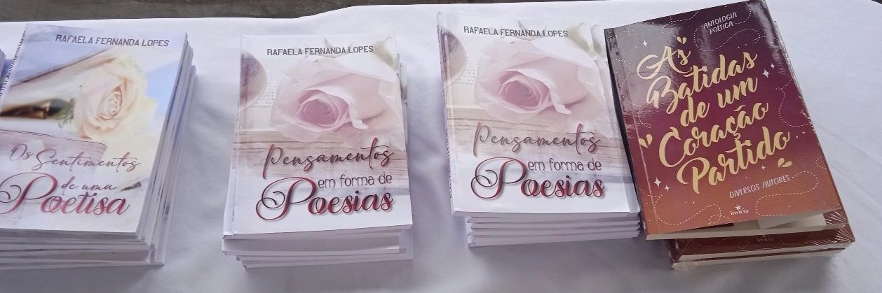 Rafaela Fernanda (Não vão me calar) banner