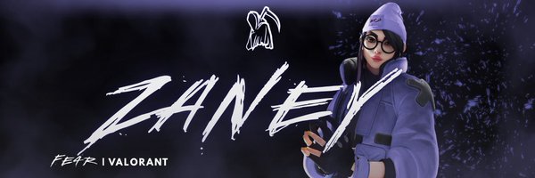 zaneyFPS Profile Banner